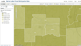 Labor Force Participation Map